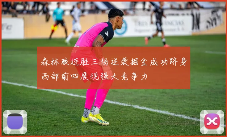 森林狼连胜三场逆袭掘金成功跻身西部前四展现强大竞争力