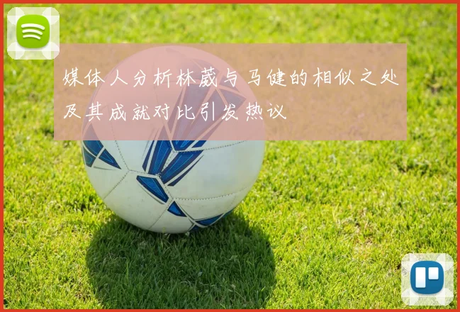 媒体人分析林葳与马健的相似之处及其成就对比引发热议