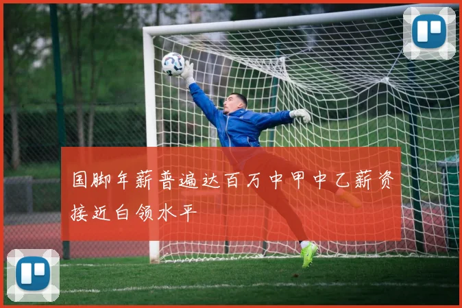 国脚年薪普遍达百万中甲中乙薪资接近白领水平